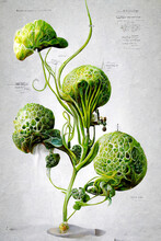 Hybrid Alien Plant