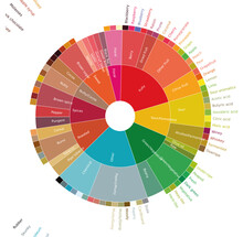 Specialty Coffee Concept. Flavor Wheel
