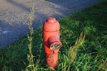 Closeup Shot Of An Old Red Fire Hydrant On Grass Near A Road