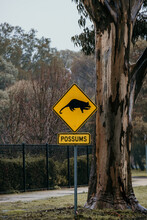 Possum Crossing Sign