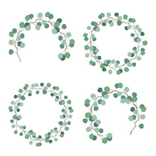 Vector Collection Of Pastel Green Decorative Round Floral Frames For Greeting Card Or Invitation - Eucalyptus Branches Wreath Illustration On White Background