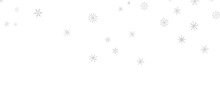 The Winter Background, Falling Snowflakes