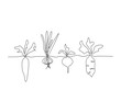 © Line addict - Continuous line art drawing of vegetables plants growing. Vegetable plants root single line art drawing vector illustration.