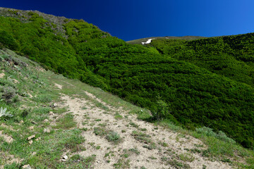 Sticker - Mountain scenery of Mt. Varnous in Prespa National Park, Macedonia, Greece // Berglandschaft des Varnous im Prespa Natiuonalpark, Mazedonien, Griechenland