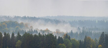Amazing Mystical Rising Fog Forest Autumnal Trees And Firs Landscape In Black Forest ( Schwarzwald ) Germany Panorama Banner - Dark Autumn Mood