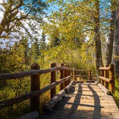 Wall Mural - Wooden boardwalk illuminated by the morning sun rays at Lake Tahoe along Taylor Creek footpath in Northern California