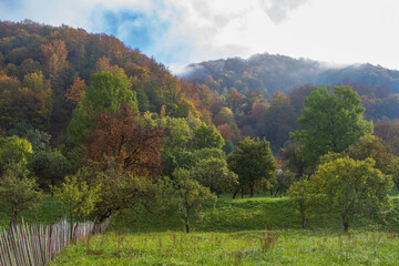 Wall Mural - Apusine Mountains in Romania