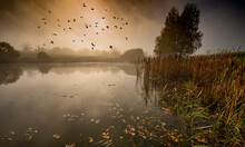An Autumnal Landscape With Pond And Fog