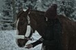 Closeup of a female caressing a beautiful horse on a snowy day