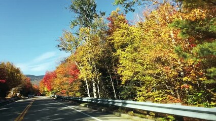 Wall Mural - Autumn landscape in foliage season. Trees along the road