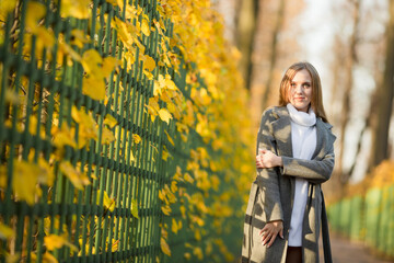 Wall Mural - Beautiful young woman walks along the alley of the autumn park. Attractive woman with light brown hair near a green fence. Pretty woman in a gray coat. Colorful yellow foliage. Fall season.