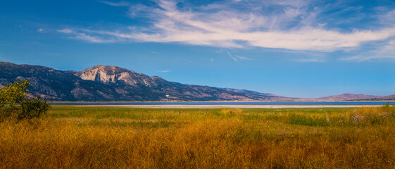 Wall Mural - Autumn landscape with the view of Mt. Rose dramatic clouds over the golden-colored meadow at Washoe Lake State Park near Carson City, Nevada