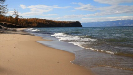 Wall Mural - baikal lake in autumn. sandy beach of small sea and yellowed larch forest on the shore of olkhon isl