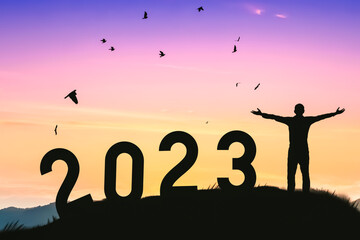 Poster - Man raise hand up on sunset sky with birds flying at top of mountain and number 2023 abstract background. Happy new year and holiday concept.