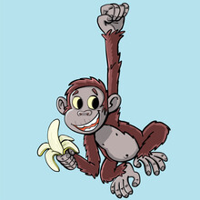 Monkey With A Banana Higher From A Branch