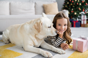 Wall Mural - Labrador lying near smiling kid and christmas gift on carpet at home