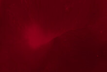 Abstract Blurred Gradient Mesh Background On Dark Red Colour. Ideal As Wallpaper,banner,sale Brochure Design Etc., 