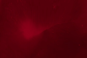 Abstract blurred gradient mesh background on dark red colour. Ideal as wallpaper,banner,sale brochure design etc., 