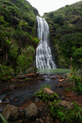 Canvas Print - Scenic view of Karekare falls in the west coast of Auckland, New Zealand.