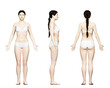 3d rendered medical illustration of an average female body
