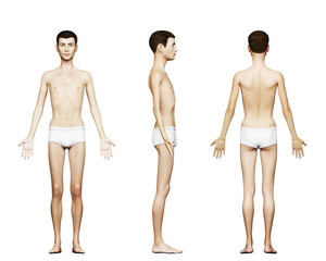 Wall Mural - 3d rendered medical illustration of a thin male body