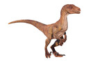 Fototapeta  - velociraptor dinosaur roaring on a blank background PNG
