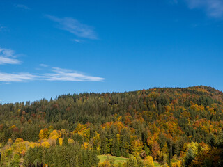 Wall Mural - bayerischer wald