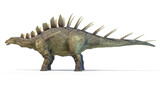 Fototapeta Dinusie - 3d rendered dinosaur illustration of the Kentrosaurus