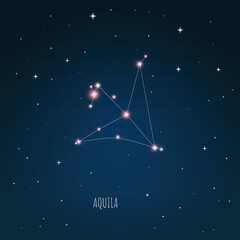Wall Mural - constellation aquila on the background of starry sky. constellation scheme collection vector illustr