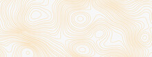 Orange And White Wavy Abstract Topographic Map Contour, Lines Pattern Background. Topographic Map And Landscape Terrain Texture Grid. Wavy Banner And Color Geometric Form. Vector Illustration.