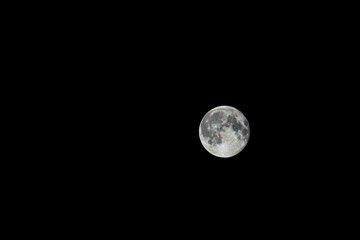 Wall Mural - beautiful shot of the full moon in the pitch black sky