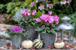 florales Arrangement mit Herbstblumen in Zink-Töpfen, Kürbissen und vintage Laterne