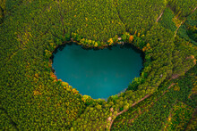 Forest Heart - Shaped Lake In The Bush. Bird's Eye View Of The Blue Water And Treetops In A Daylight.