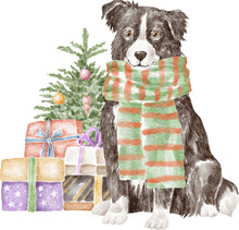 Border Collie Dog With Christmas Tree