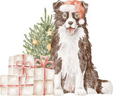 Border Collie Dog With Christmas Tree