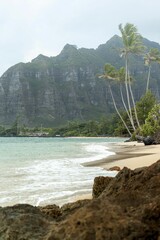 Poster - Vertical shot of a breathtaking hawaii landscape with blue sea and hills in the background