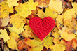 © Leka - red hand knitted heart on yellow maple fallen leaves, autumn mood, i love autumn
