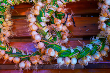 Wall Mural - Garlic closeup. Rich harvest. Agriculture and farming.