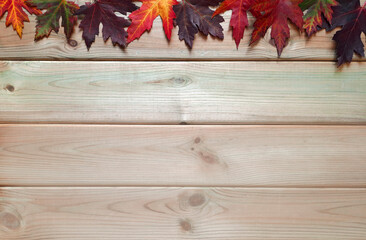 autumn maple leaves from above. top view. lots of space for text or inscription. multi-colored tree 