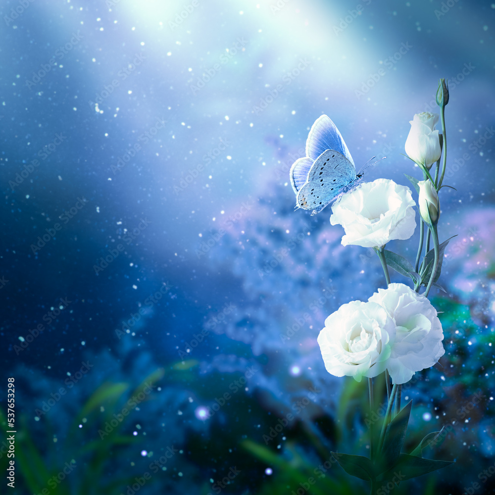 Fantasy Eustoma flowers garden and blue butterfly in enchanted fairy tale  dreamy forest, fairytale blooming white roses in magical night darkness on  mysterious dark floral background with moon rays. Stock Photo |, image size:1000x1000