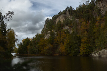 lake in the forest