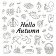 Hello autumn concept. Doodle style.