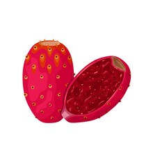Vector Illustration, Cactus Or Opuntia Fruit, Also Called Prickly Pear, Isolated On White Background.