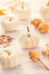 Sticker - White pumpkins with autumn leaves on wooden background in vintage style