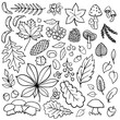Fall Autumn Nature Doodle linear outline monochrome vector seasonal illustration set for web digital projects and bullet journal isolated on white background 