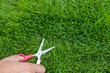 Cutting the grass with a small scissors