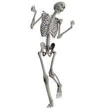 Skeleton Posing 3d Render Illustration