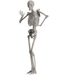 skeleton posing 3d render illustration