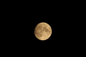Wall Mural - full moon in night sky