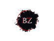 Initial Luxury BZ zb Logo Letter Vector Art